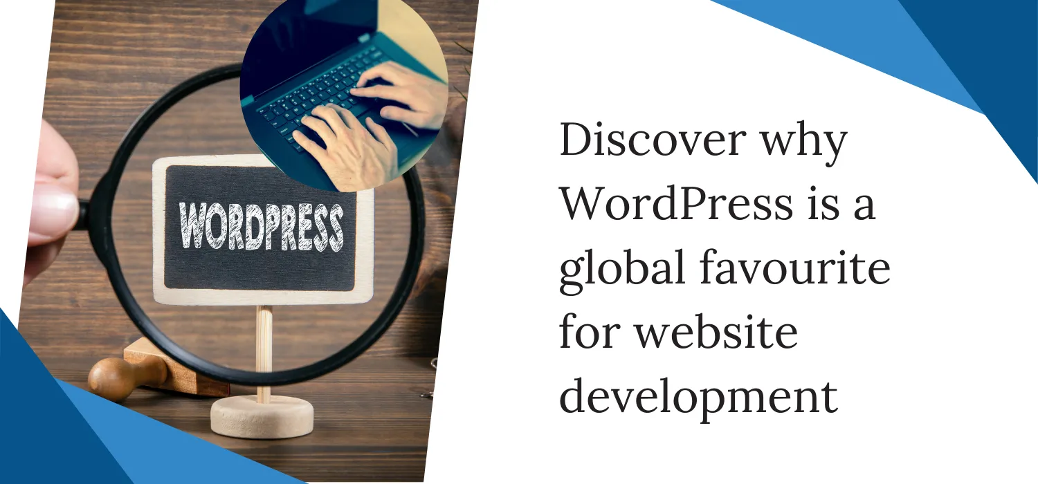 Why WordPress is a popular choice for websites