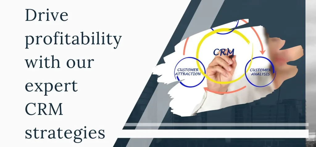 Drive profitability with our expert CRM strategies